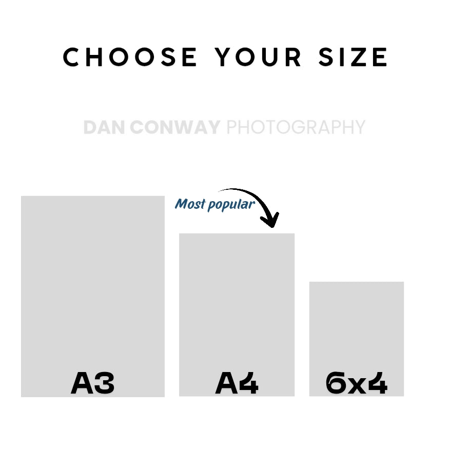 Hill Dickinson Stadium